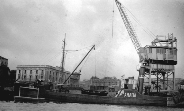 Amada por T. Diedrich Amada por T. Diedrich